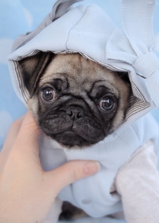 "I'm cold, Mommy. Let's cuddle!"