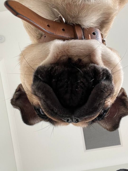 "20 more sit-ups to go, Dad."