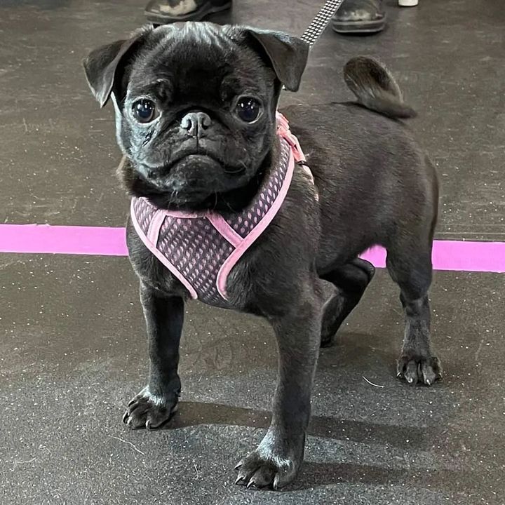 "You're lucky my mom is holding me back, Mister."