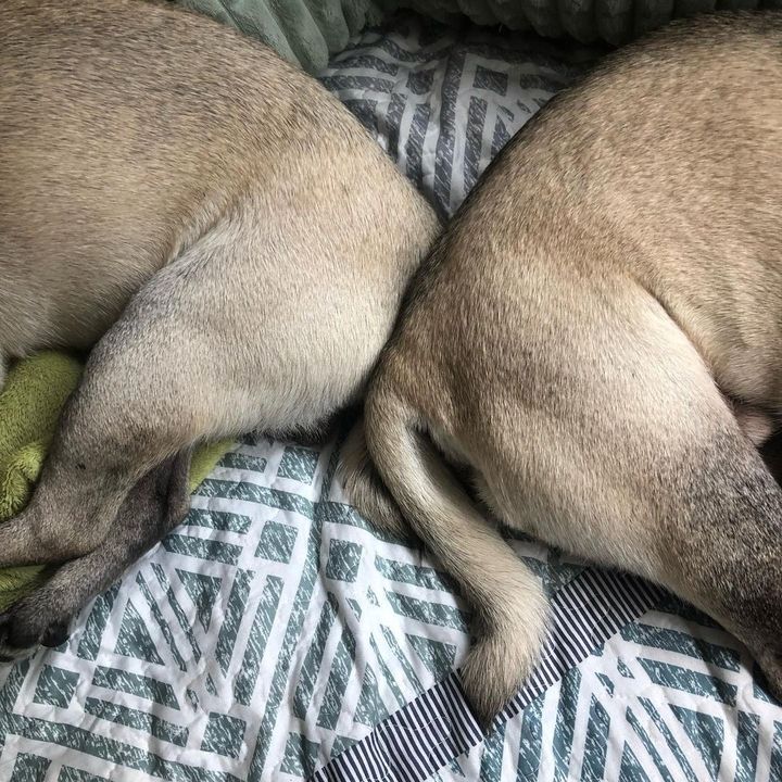 Bum Buddies ❤️❤️