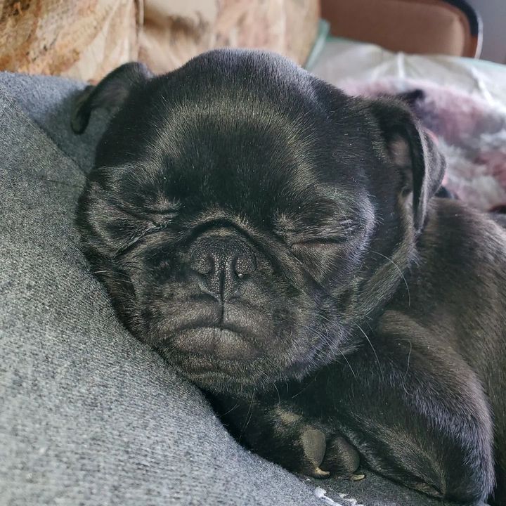 Dreaming of warmer weather...  😴
