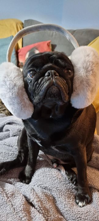 "OK, I'm ready for my morning walk, Daddy!"