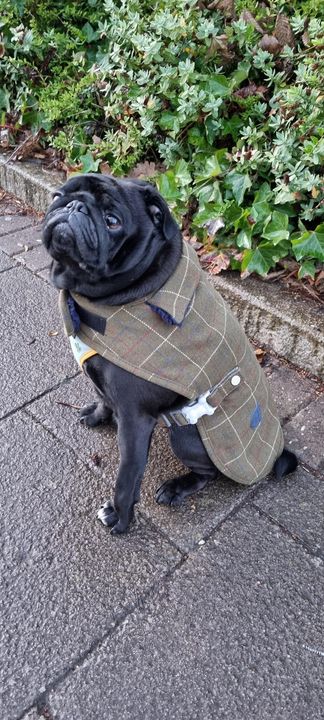"Why yes, I do feel dapper."