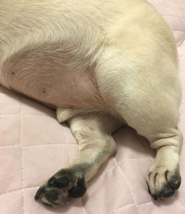 274018235_4770461423044123_7910879083053231316_n