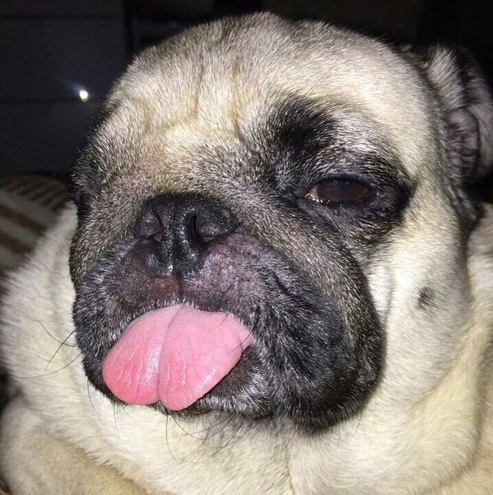 "Well I'm sorry, Mommy, but this is the face you see when you wake me up from a nice nap."