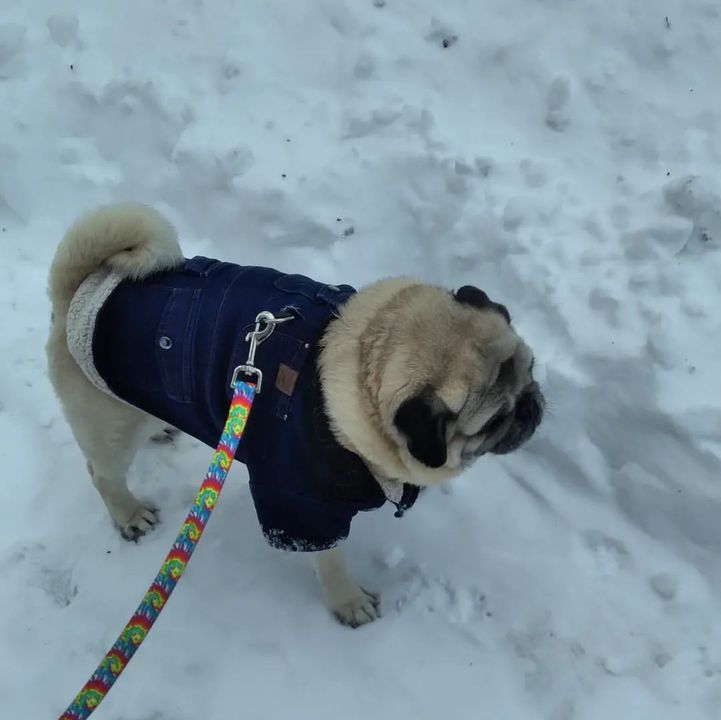 "Winter's been fun, Dad, but I'm ready to be done now."